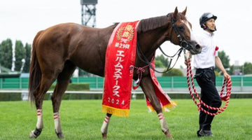 【生産馬の活躍】ペイシャエス、エルムSを制覇